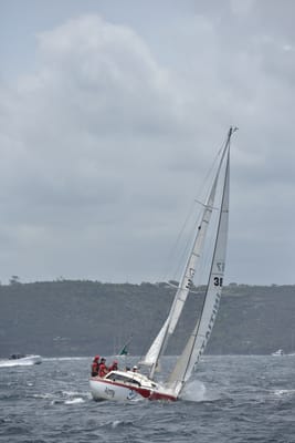 DSC_4604.JPG