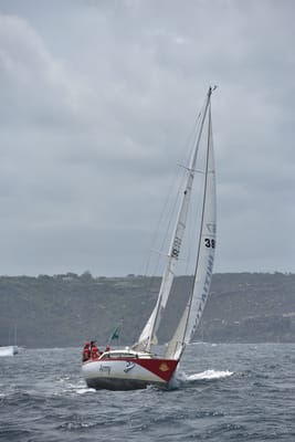 DSC_4606.JPG