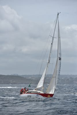 DSC_4609.JPG