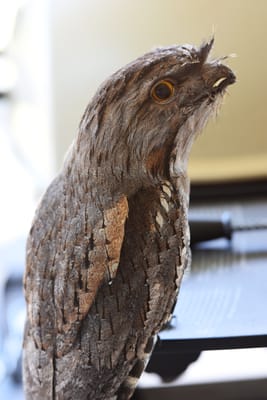 DSC_3321.JPG