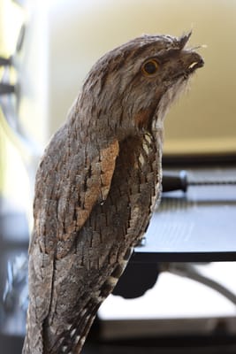 DSC_3324.JPG