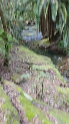20210614_095709.mp4
