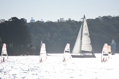 DSC_3008.JPG