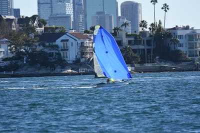 DSC_3011.JPG