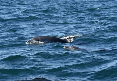 DSC_3576.JPG