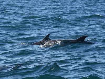 DSC_3578.JPG