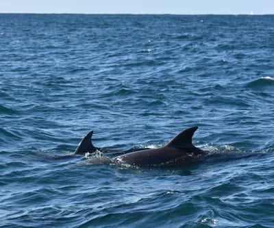 DSC_3579.JPG