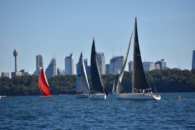 DSC_3590.JPG
