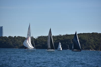 DSC_3591.JPG