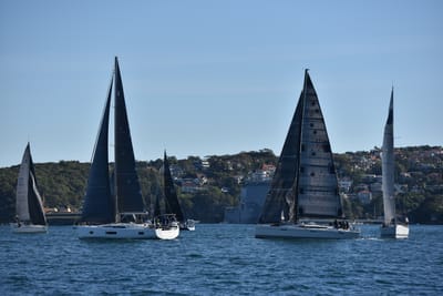 DSC_3593.JPG
