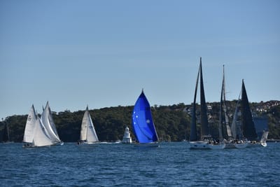 DSC_3595.JPG