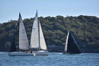 DSC_3596.JPG