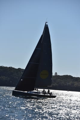 DSC_3597.JPG