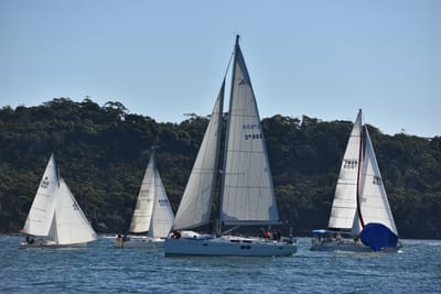DSC_3599.JPG