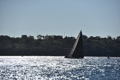 DSC_3600.JPG