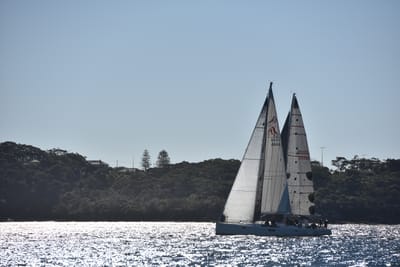 DSC_3605.JPG