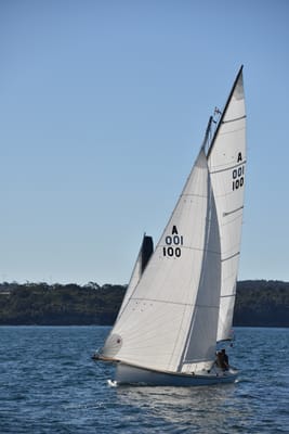 DSC_3631.JPG