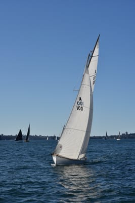 DSC_3635.JPG