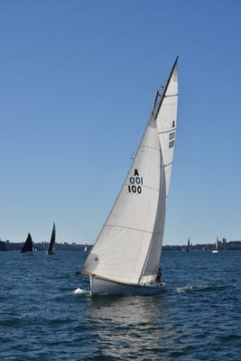 DSC_3636.JPG