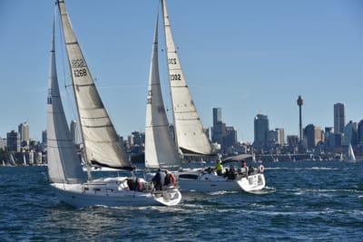 DSC_3650.JPG