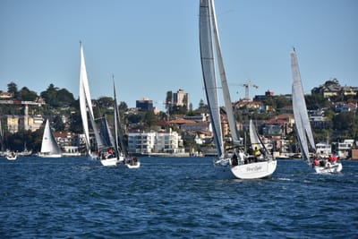 DSC_3651.JPG