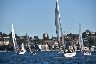 DSC_3652.JPG