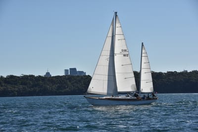 DSC_3653.JPG