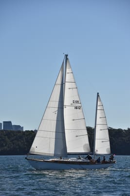 DSC_3654.JPG