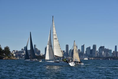 DSC_3655.JPG