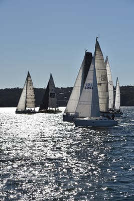 DSC_3663.JPG