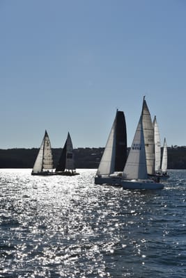 DSC_3664.JPG