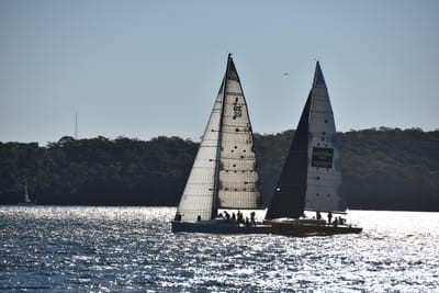 DSC_3665.JPG