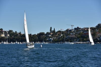 DSC_3667.JPG