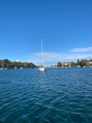 IMG-20210612-WA0014.jpg