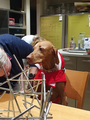 20201225_204810.jpg