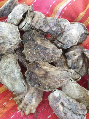 IMG-20201225-WA0009.jpg