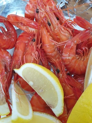 IMG-20201225-WA0010.jpg