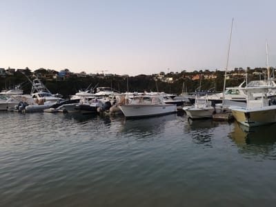 20210604_170647.jpg