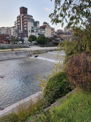 20221018_170738.jpg