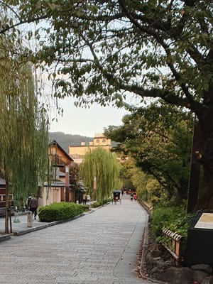 20221018_180629.jpg