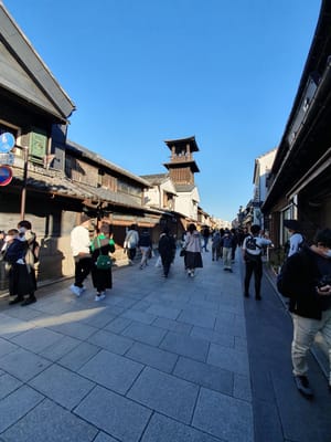 20221026_145850.jpg