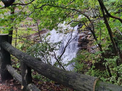 20221010_102236.jpg