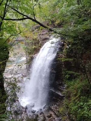 20221010_102320.jpg