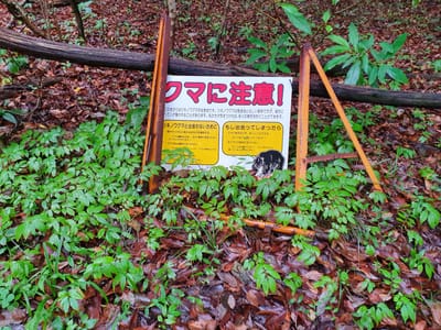 20221010_111155.jpg