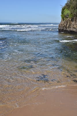 DSC_4969.JPG