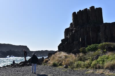 DSC_4981.JPG