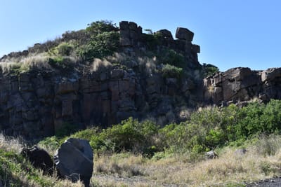 DSC_4992.JPG