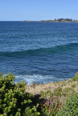 DSC_4996.JPG