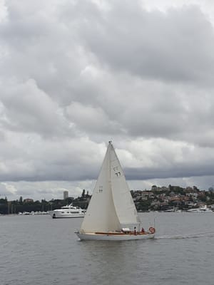 20220227_144847.jpg