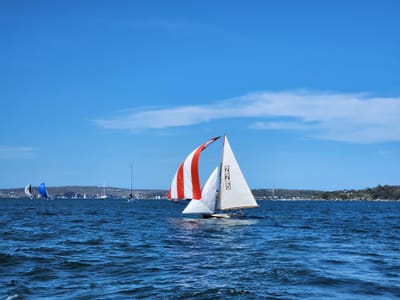 20221126_151218.jpg